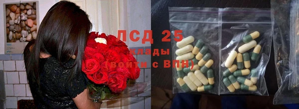 индика Саяногорск