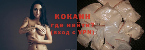 прущие грибы Армянск