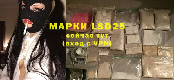 прущие грибы Армянск