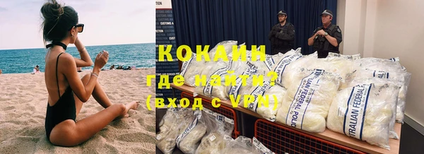 прущие грибы Армянск